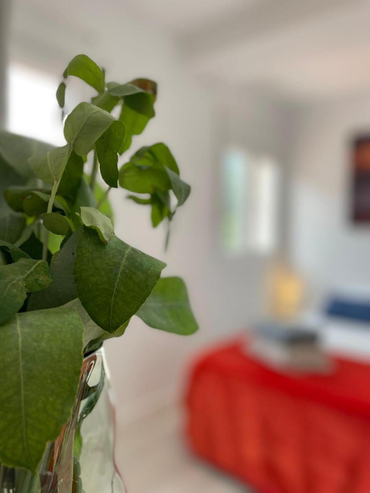 Villa Felicidad Vigo Exteriér fotografie